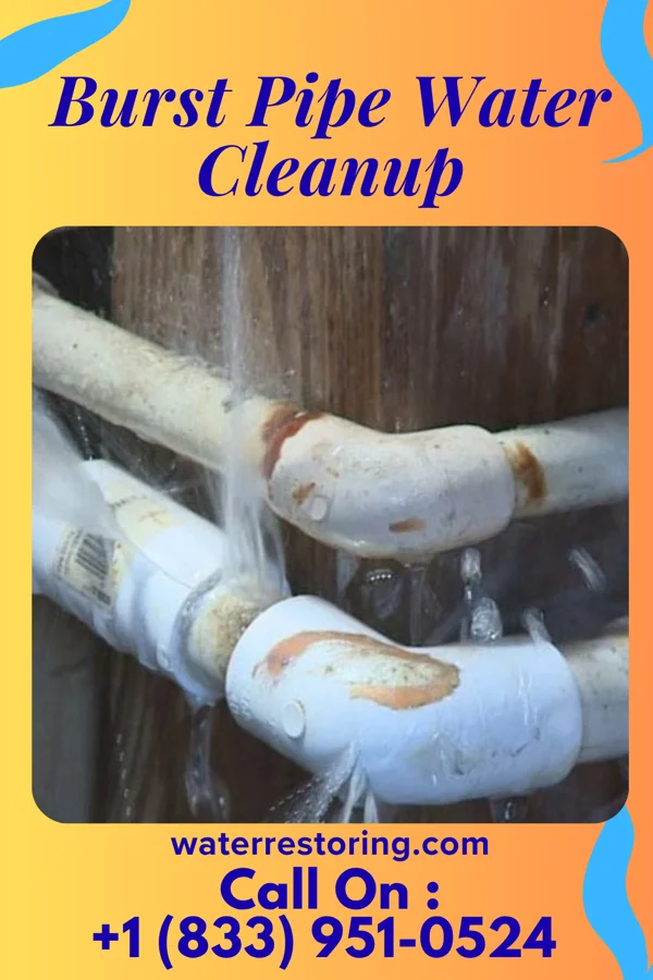 Burst Pipe Water Cleanup in Baroda, MI