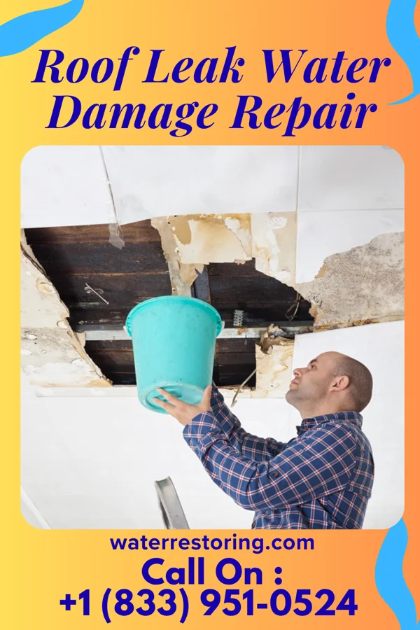 Roof Leak Water Damage Repair in Baroda, MI