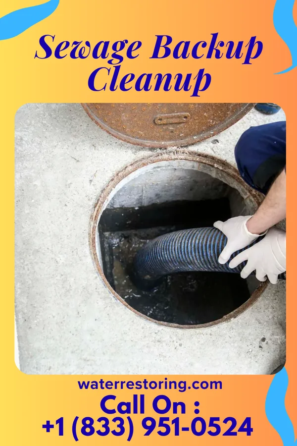 Sewage Backup Cleanup in Baroda, MI
